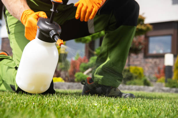 Best Affordable Pest Control Services  in Parsons, TN