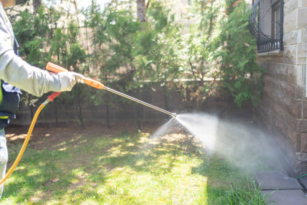 Best Affordable Pest Control Services  in Parsons, TN