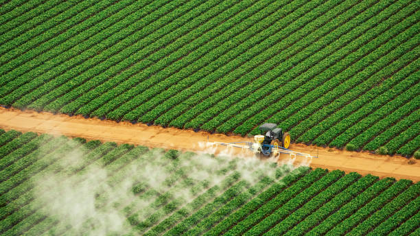 Best Insect Control  in Parsons, TN