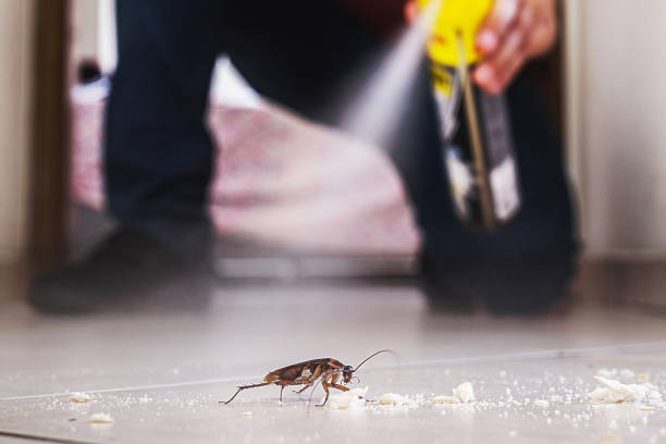 Best Rodent Control Near Me  in Parsons, TN