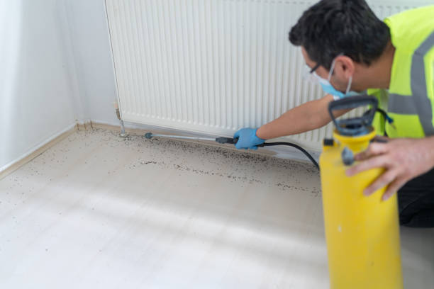 Best Affordable Pest Control Services  in Parsons, TN